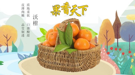 成都褚橙果品 成都褚橙 紅彝果業(yè)