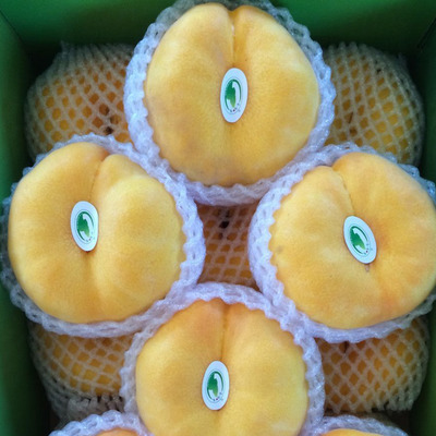 威海市文登區勾勾吉果品專業合作社