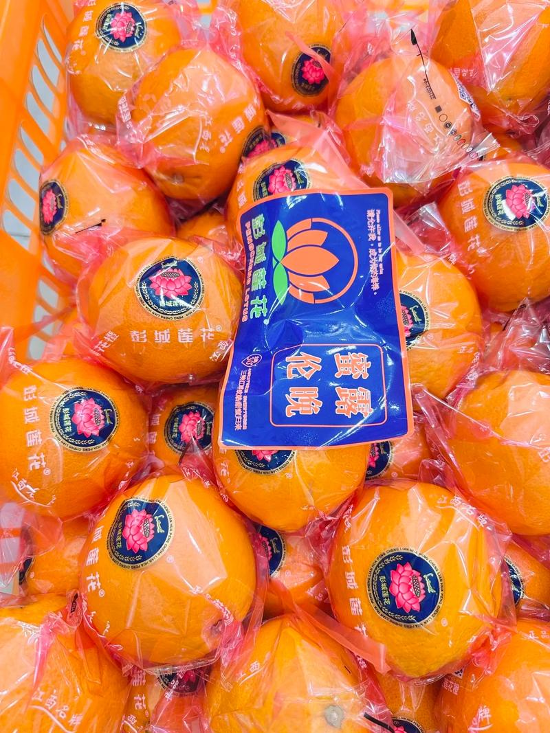 果歌果品今日上新：品味新鮮，健康生活