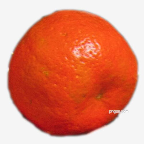 高品質圓形黃色橘子PNG素材 滿足餐飲美食設計需求