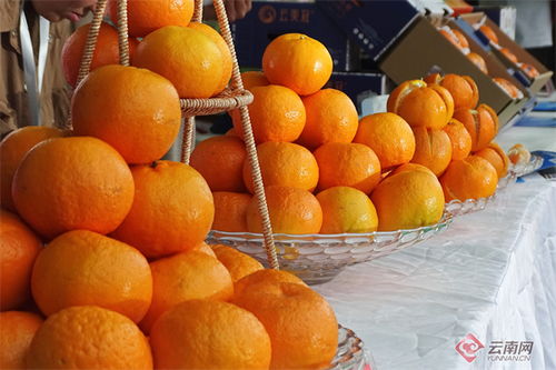 甜蜜生活在賓川 多樣葡萄，助您輕松實(shí)現(xiàn)水果自由