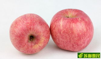 品味自然饋贈(zèng) 現(xiàn)摘優(yōu)質(zhì)沙河紅富士蘋(píng)果，新鮮直達(dá)的味覺(jué)盛宴