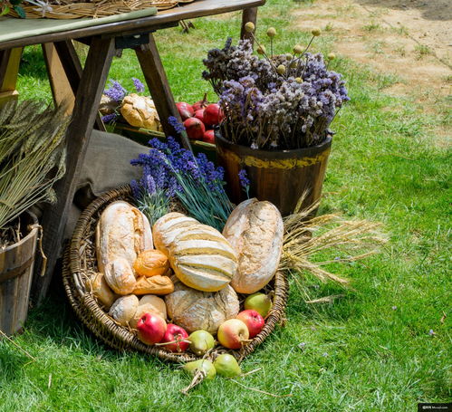 蔬果籃中的美學(xué)定格 從平凡食材到視覺盛宴的美食攝影藝術(shù)